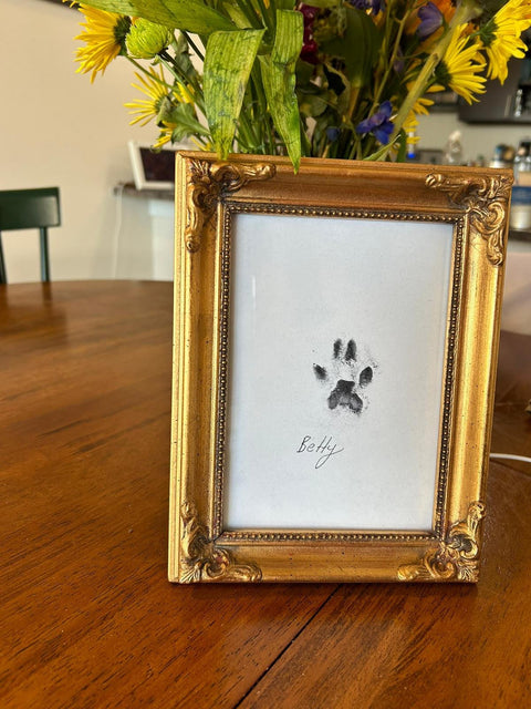 Timeless Pet Memorial - Memorialine