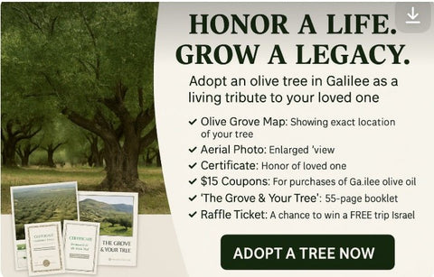 Planting a Living Tribute in the Holy Land - Memorialine