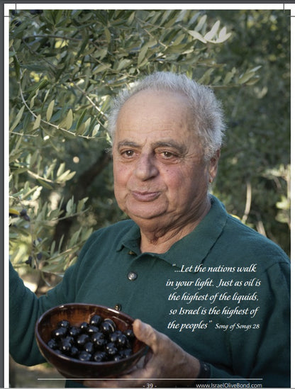 Honor Your Loved One with a Living Legacy – Adopt an Olive Tree in Galilee