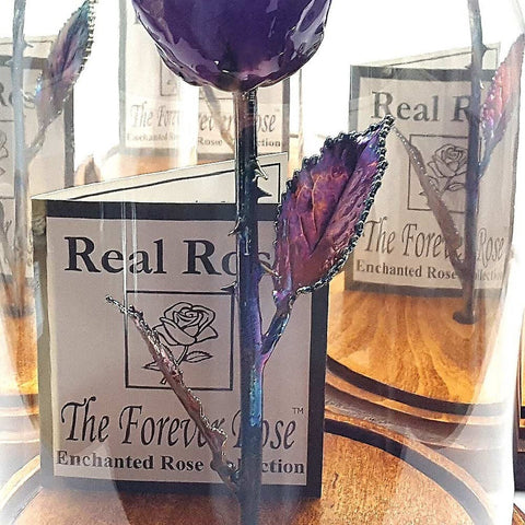 Forever Rose USA Brand - the Beauty and the Beast Rose - Enchanted Rose - Thi...