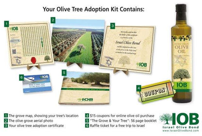 Honor Your Loved One with a Living Legacy – Adopt an Olive Tree in Galilee