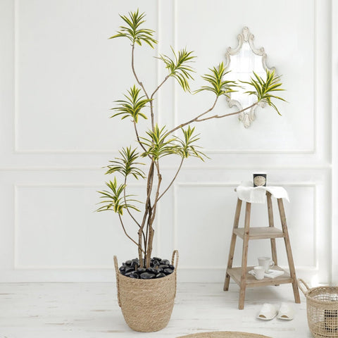Black Decorative River Stones – A Natural, Timeless Addition - Memorialine